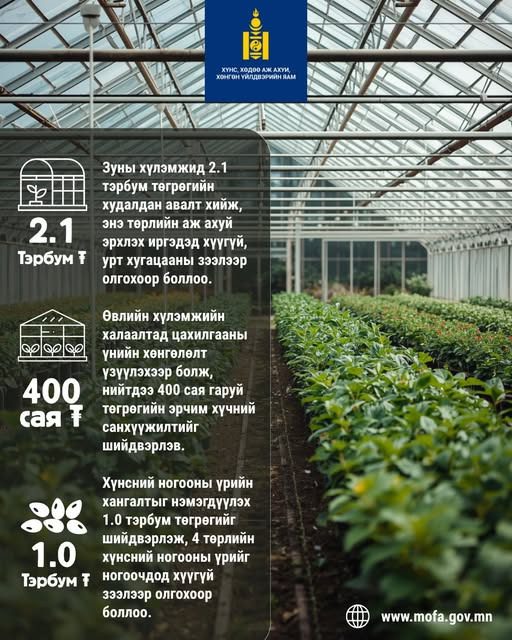 ЗУНЫ ХҮЛЭМЖ, ХҮНСНИЙ НОГООНЫ 4 ТӨРЛИЙН ҮРИЙГ ХҮҮГҮЙ ЗЭЭЛЭЭР ОЛГОХООР ШИЙДВЭРЛЭЭД БАЙНА